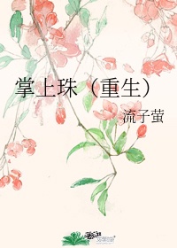 精英律师电视剧