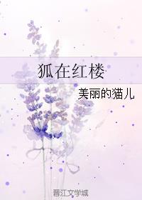 蜘蛛侠三英雄无归免费观看4k高清