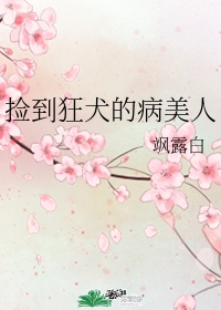 师兄啊师兄小说