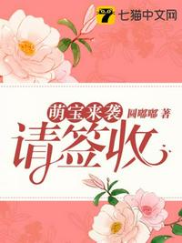 重装机兵5花火中文版