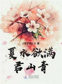 与君歌小说