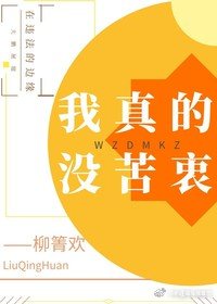 黑衣人全球追缉完整版