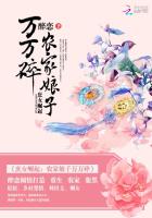 华夏狂神起点