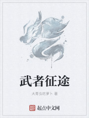 隐形将军电视剧全集