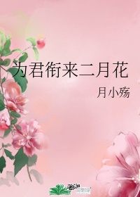 女人的战争之肮脏的交易中字