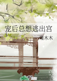 哈儿师长