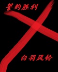 《他从远方来》舒远