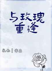 野花日本大全免费观看3中文版