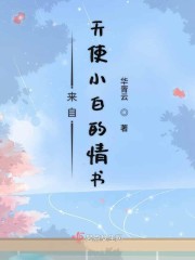 龙之谷魔法师转什么好