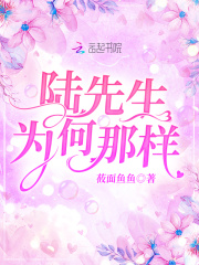 晚上开车又疼又叫的声音