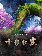 魔装学园hxh樱花