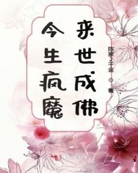 《查理九世》小说全集