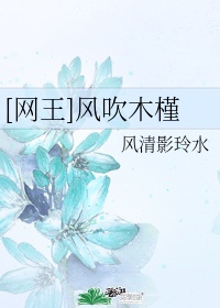 《不婚》作者:茶茶好萌