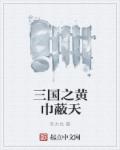 将军家的小媳妇