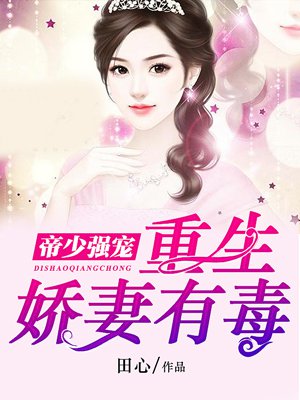 杨家将杨门婬将小说