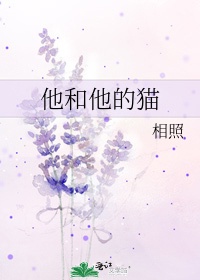 欢乐颂2爱奇艺