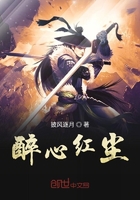 一级碟片dvd