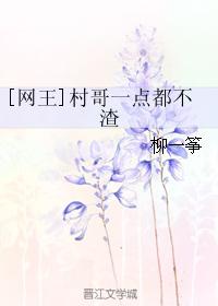 大公鸡导航异航