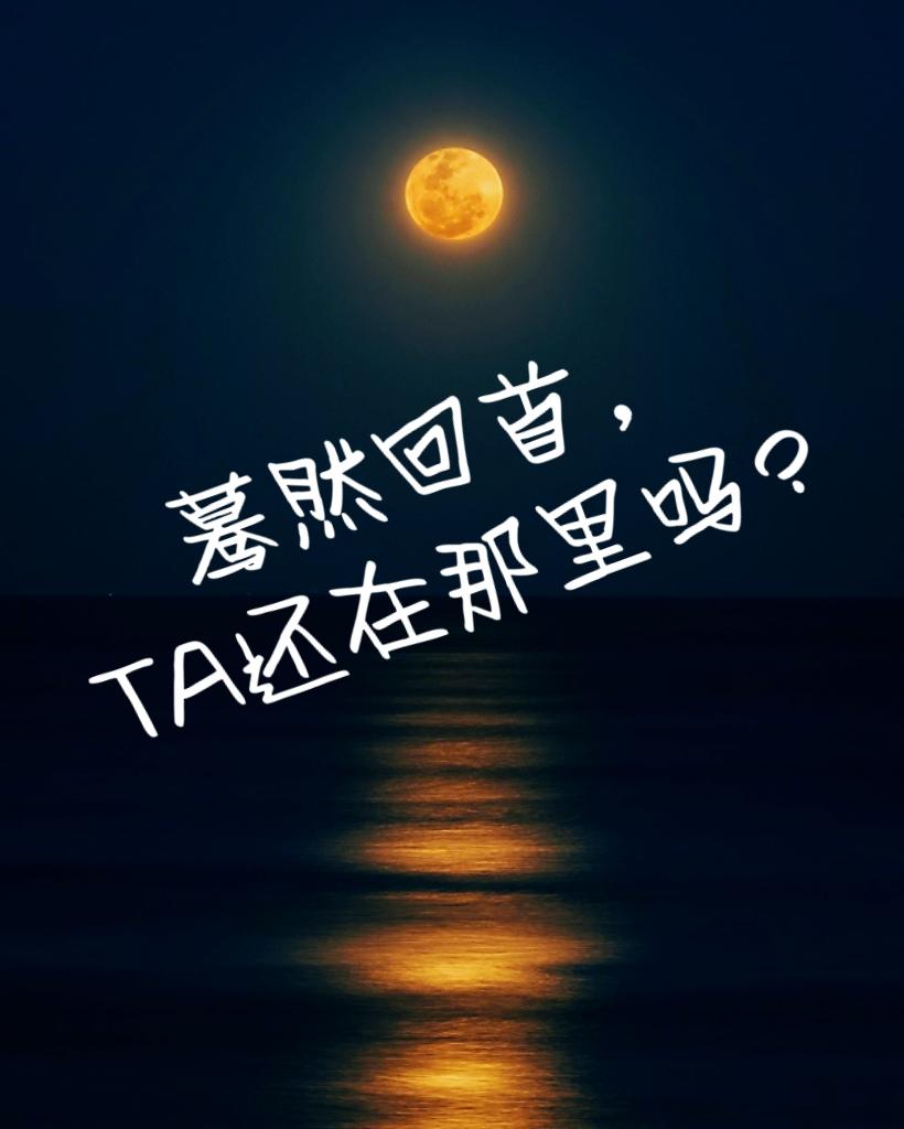 仙娈txt全本下载