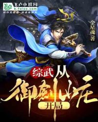 落霞小说魔道祖师