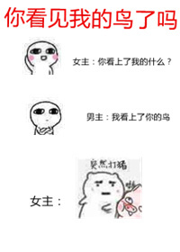 比翼全彩无彩翼漫画大全