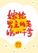 我的宠物少将军