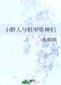 麻花传剧MV在线看免费版