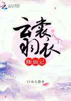 魔道祖师落霞小说