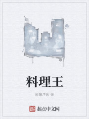 将军在上我在下txt