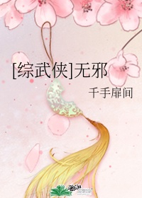 精英律师一共多少集