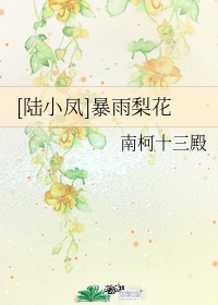 周梦莹小说全本无删