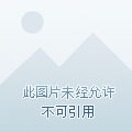 administrator是什么意思