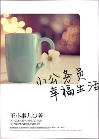 茄子加速器