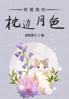 我的校花女友小月