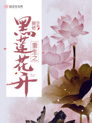 师傅又掉线了txt下载