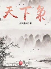 三生三世之宸汐缘小说