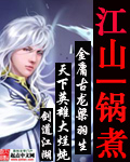 女律师的堕落完整版