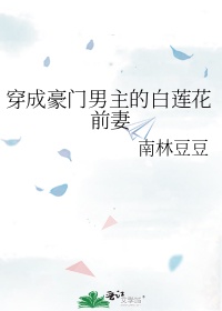 老师雅菲txt 免费小说