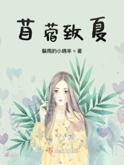 医美女孩林歌免费全文阅读