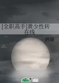 破镜重圆公司