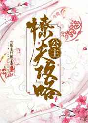 二哈和他的白猫师尊漫画全集免费