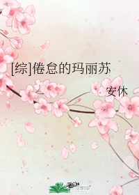 www.sejie.com