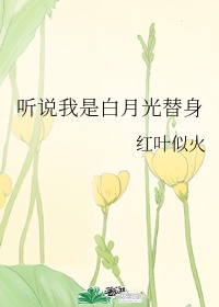 他又娇又软现代女尊