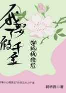 九星战神林霄秦婉