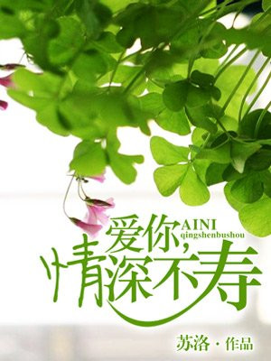 保姆春花全文阅读目录