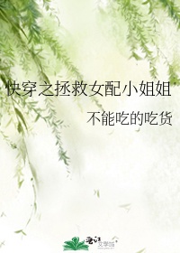 x龙时代小说全文