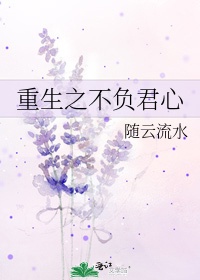 小宝与康熙张卫健版