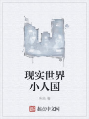 将军夫人又跑了