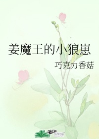 征服浪荡师母