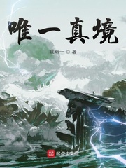 绝命毒师第四季剧情